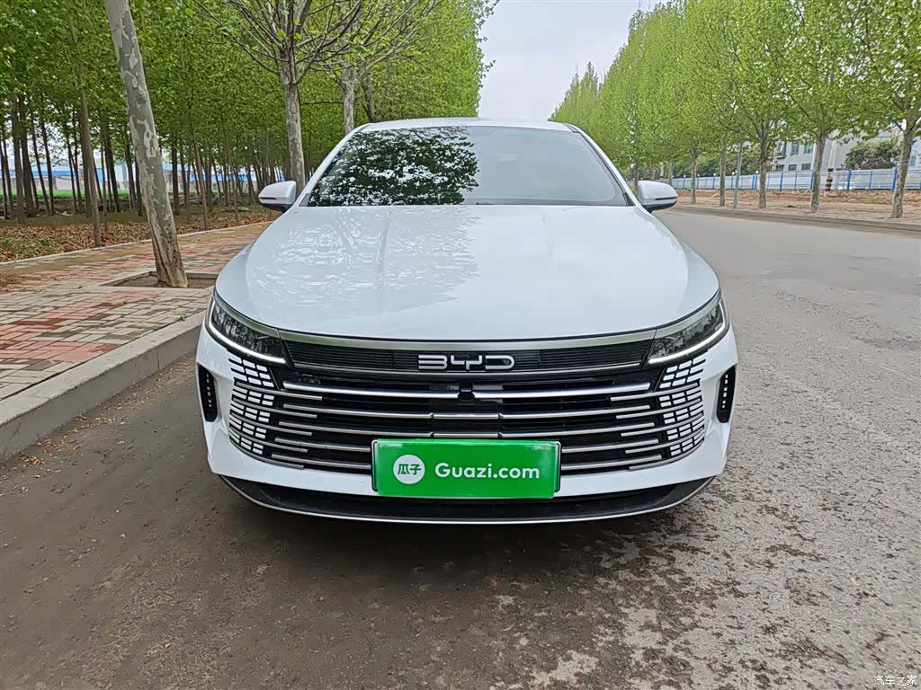 BYD Destroyer 05, 2024 3