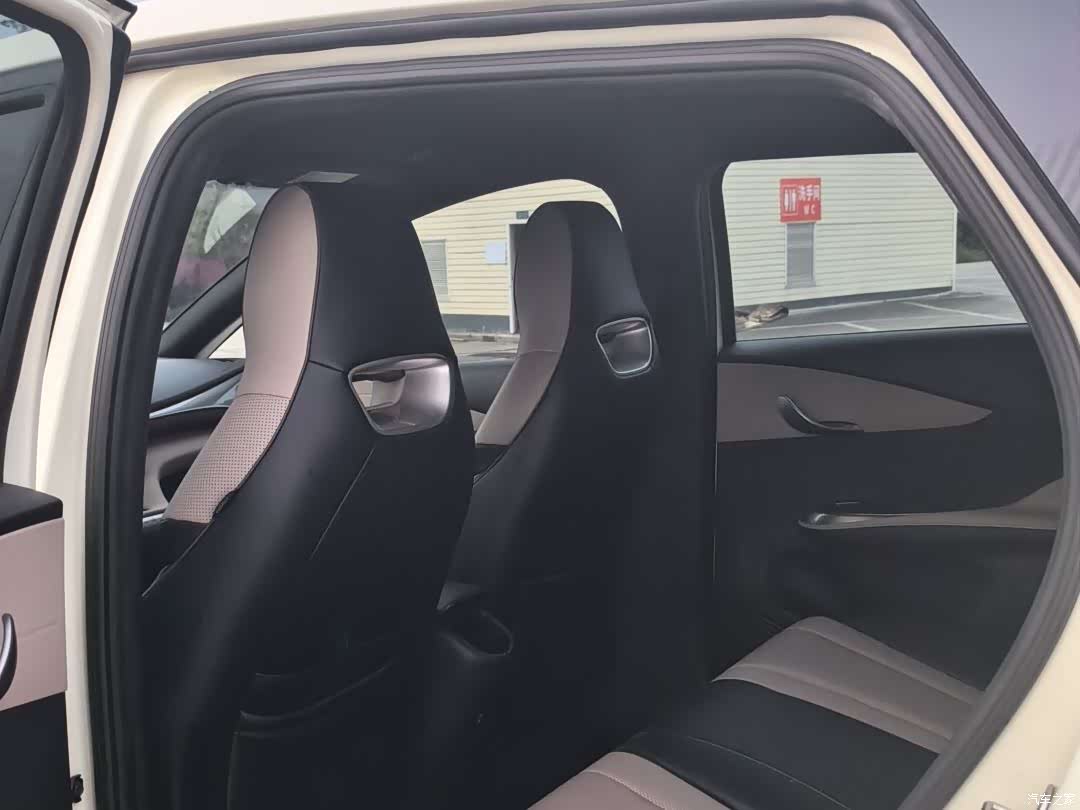 BYD Dolphin, 2024 11