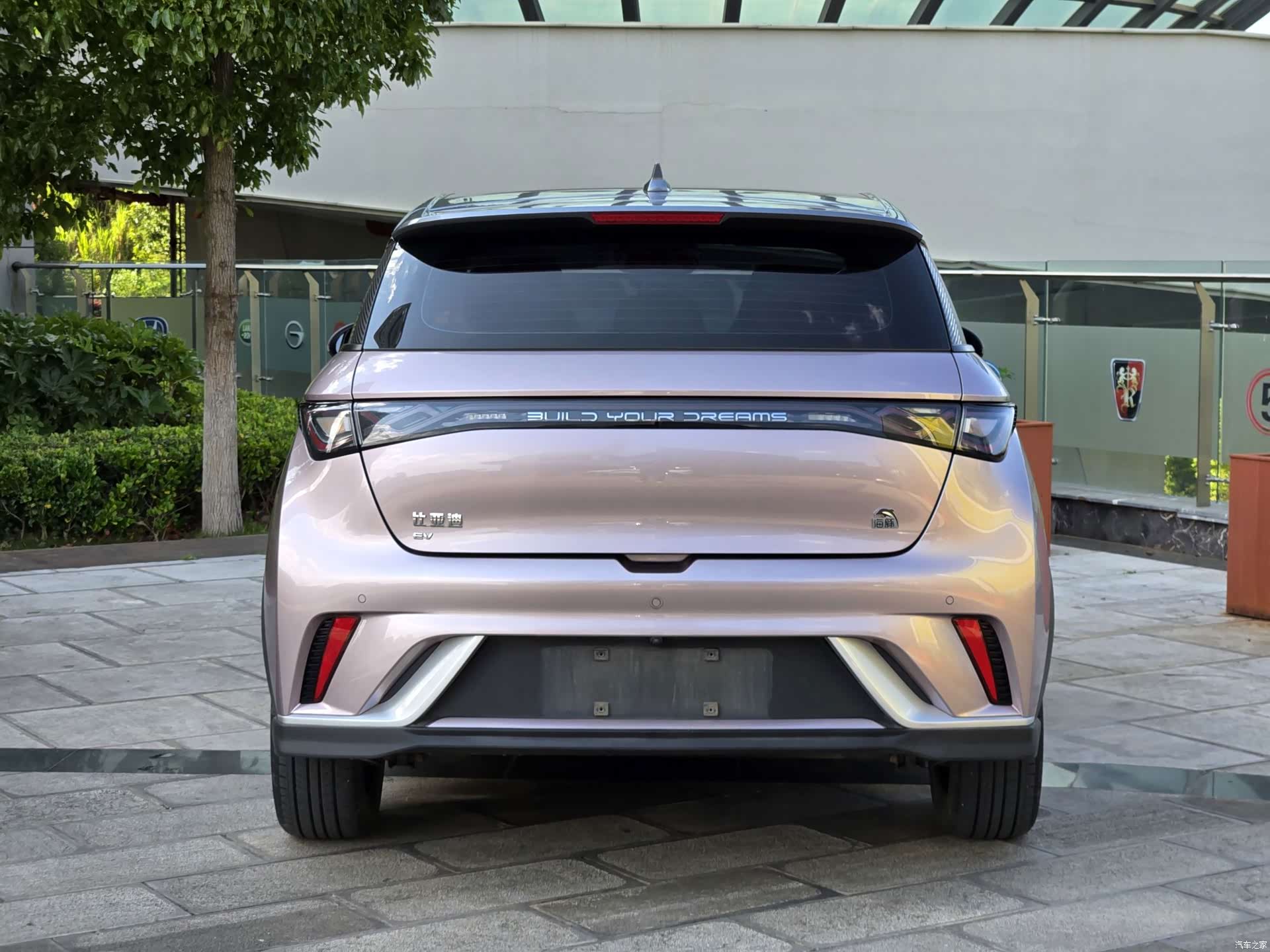 BYD Dolphin, 2022 2