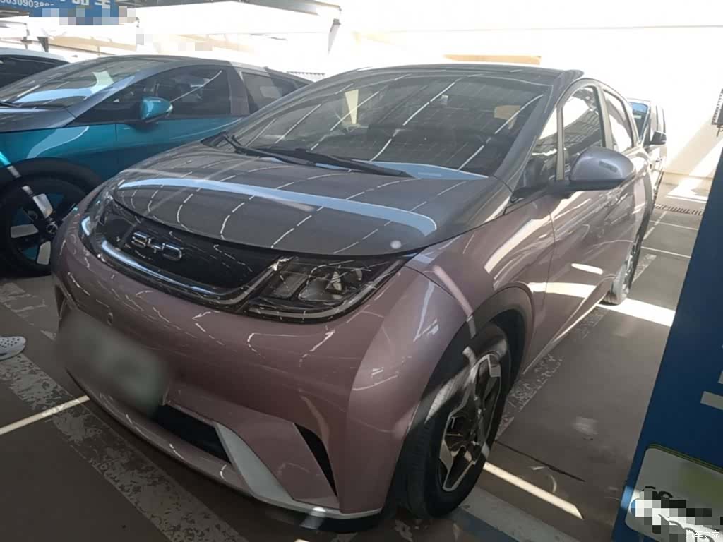 BYD Dolphin, 2022 2