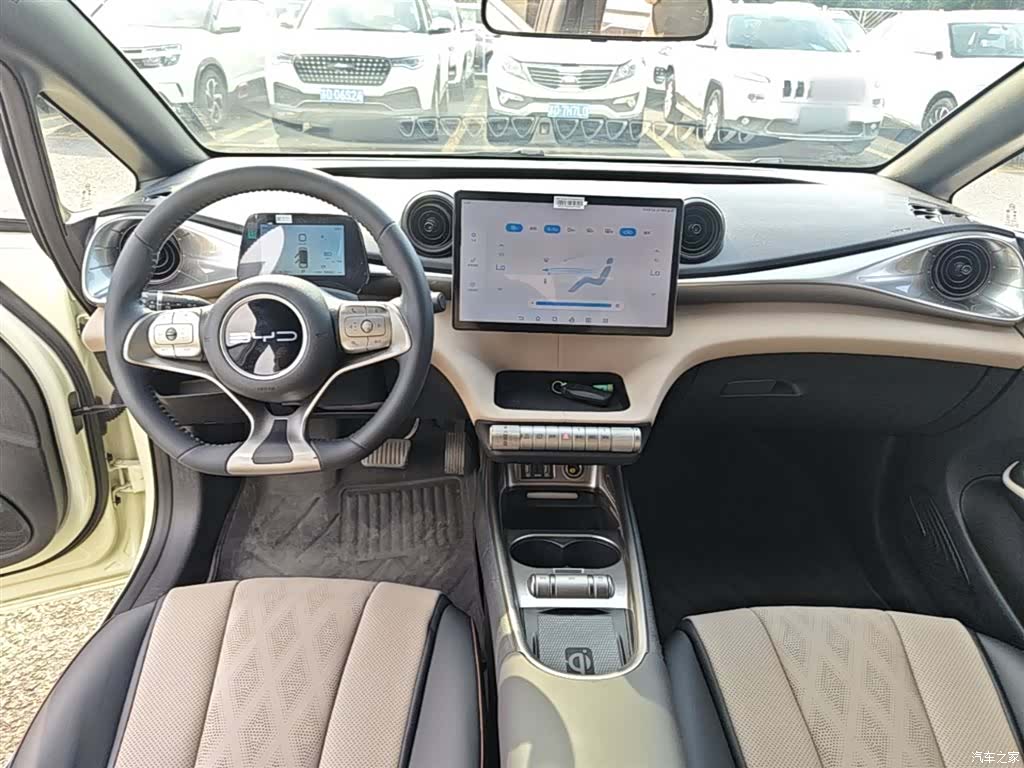 BYD Dolphin, 2024 10