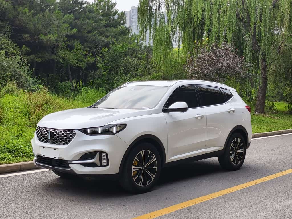Wey VV6