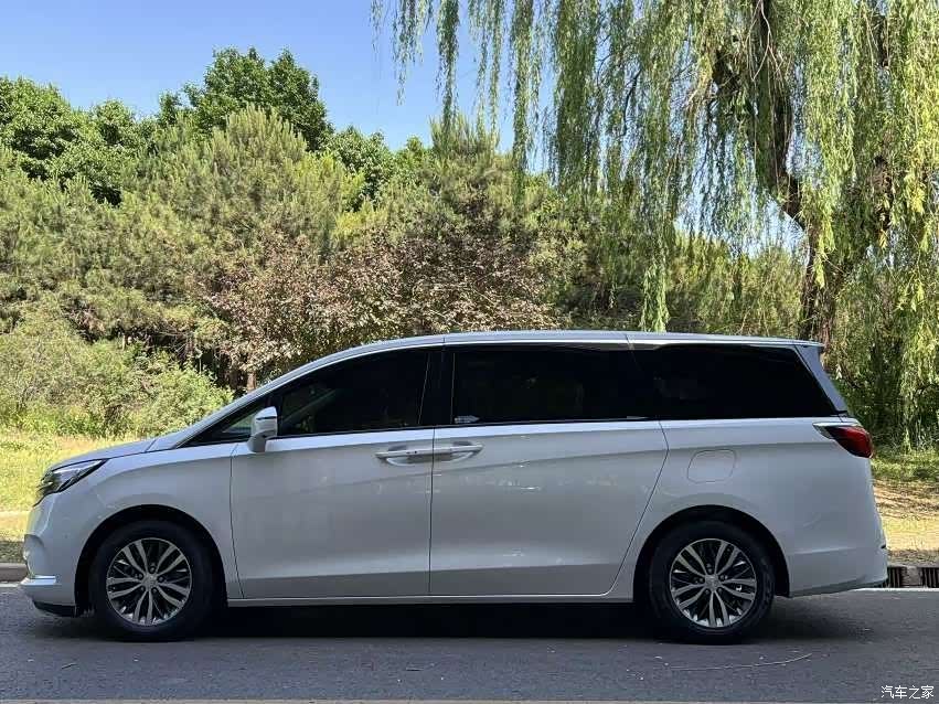 Buick GL8, 2020 все фото