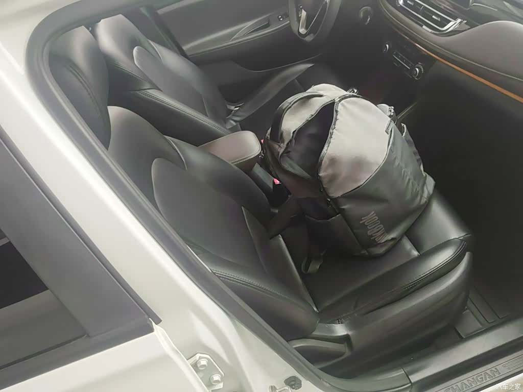 Changan Eado, 2020 25