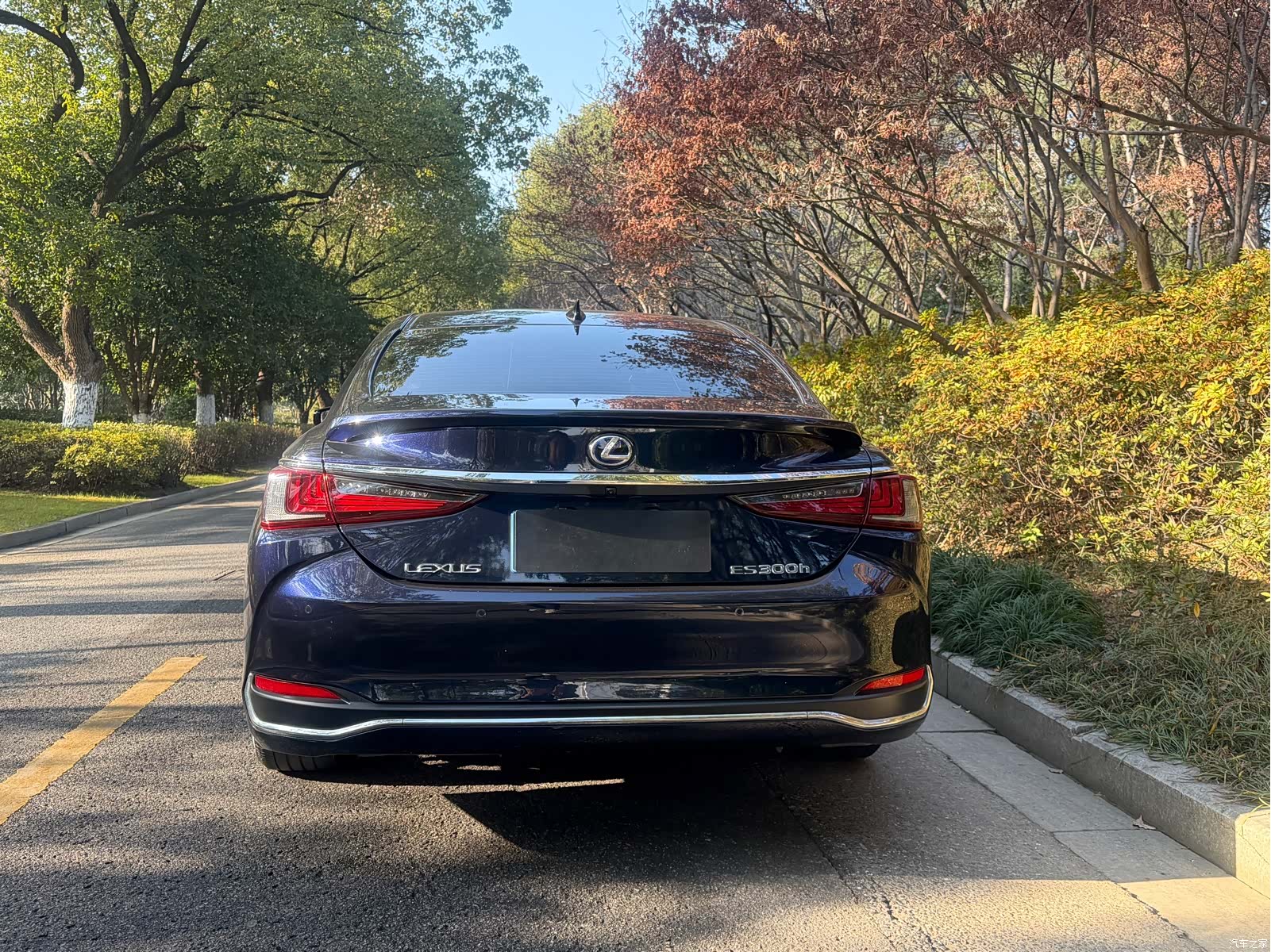 Lexus ES, 2022 12