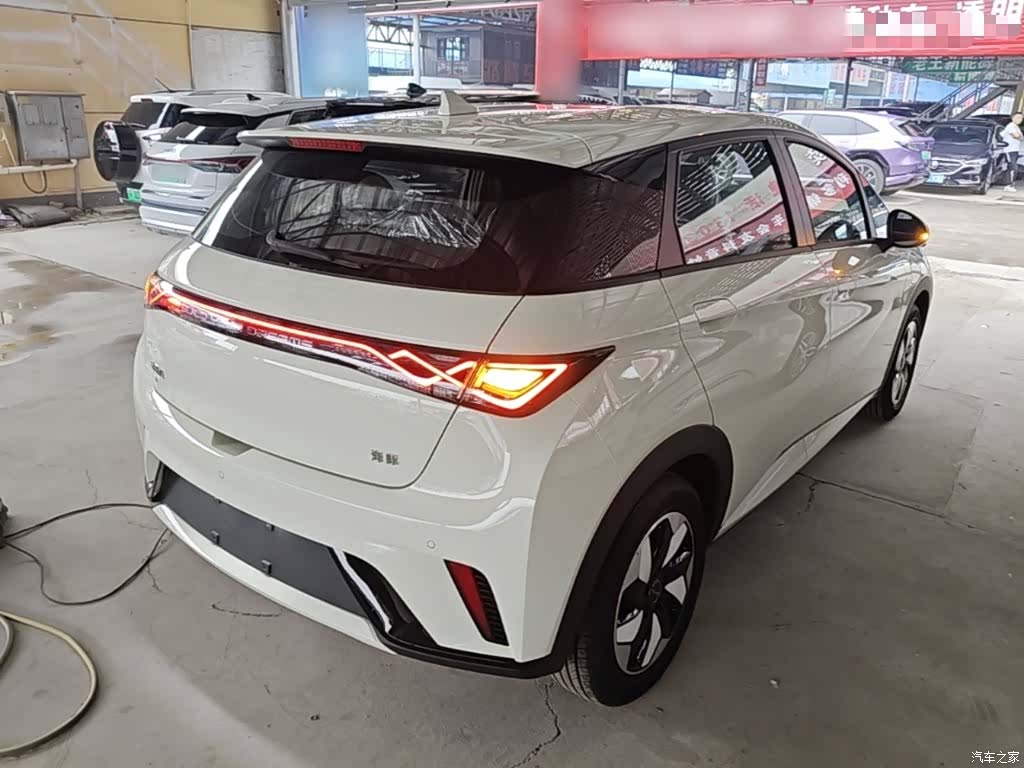 BYD Dolphin, 2026 7
