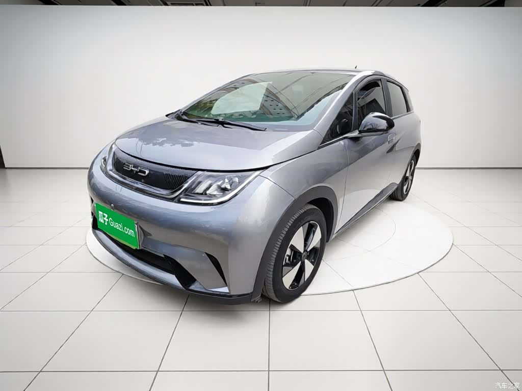 BYD Dolphin, 2023 1