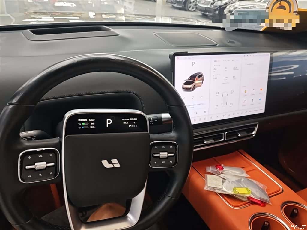 Li Auto L9, 2023 10
