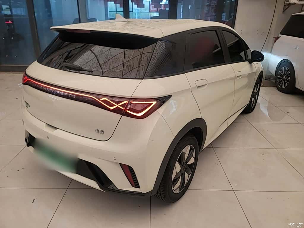 BYD Dolphin, 2024 7
