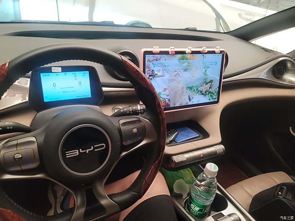BYD Dolphin, 2024 10