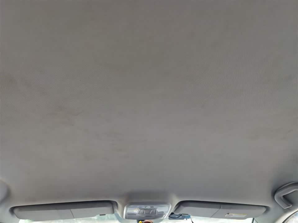 Leopaard Cheetah CS10