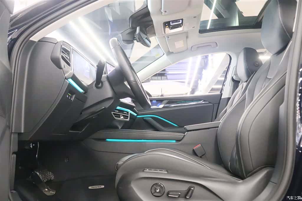 Volkswagen Magotan, 2024 19