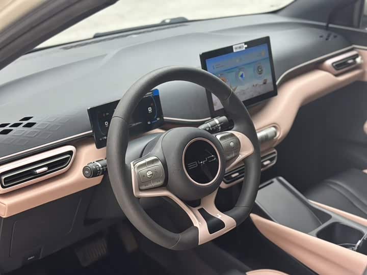 BYD Seagull 2023 huo li ban