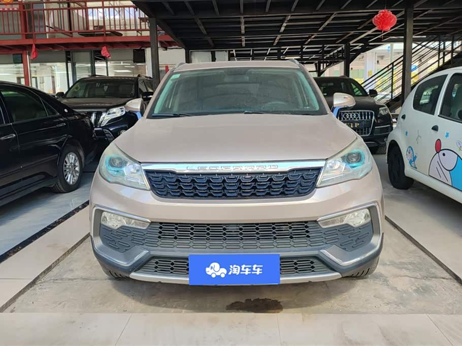 Leopaard Cheetah CS9