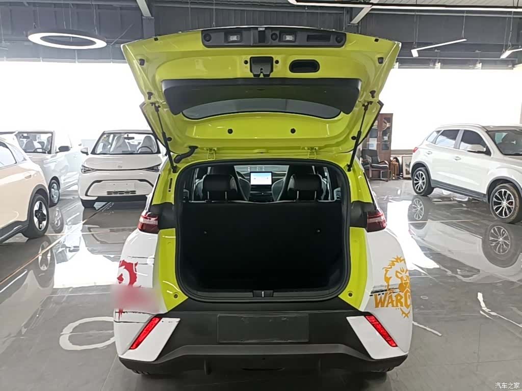 BYD Seagull, 2023 19