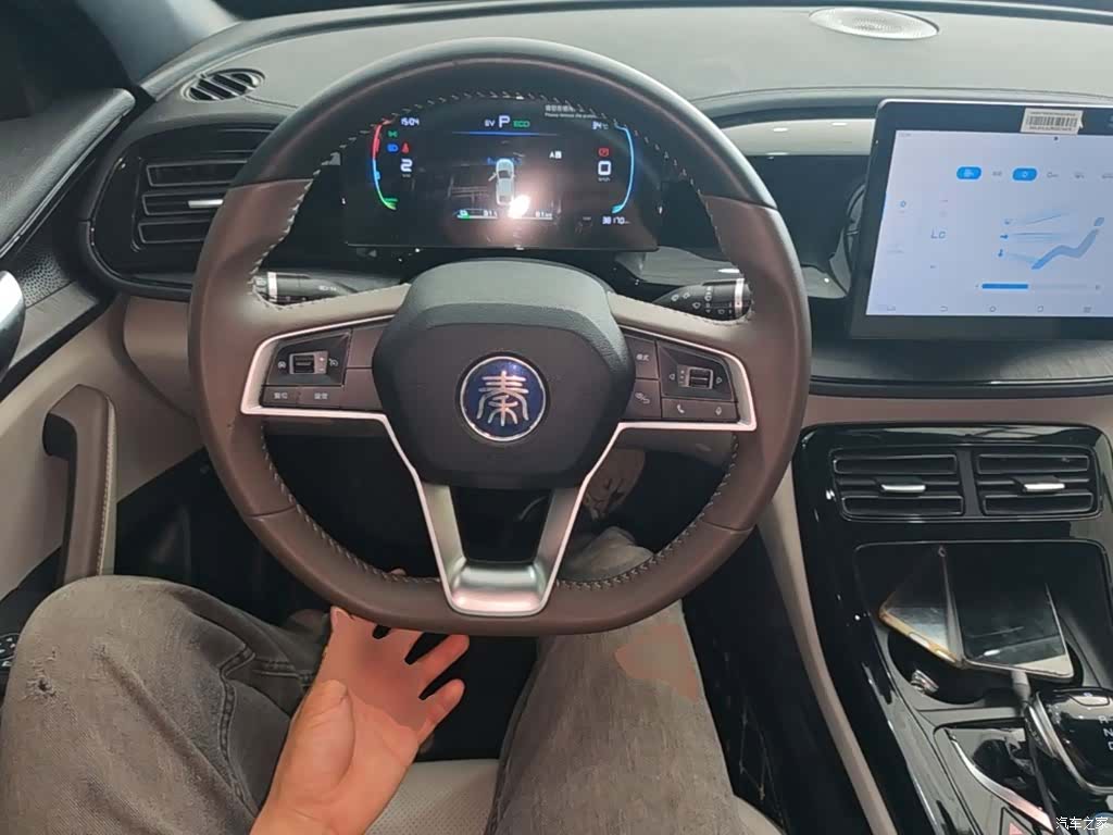 BYD Qin, 2025 11