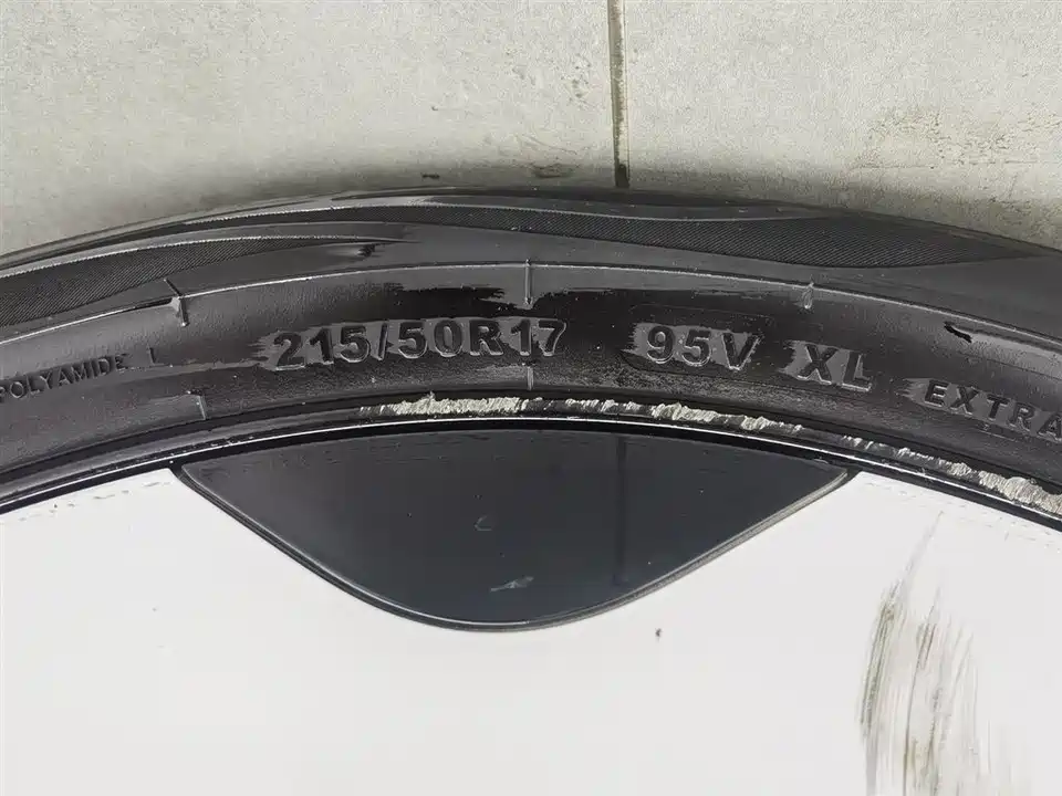 ARCFOX Polar fox koala