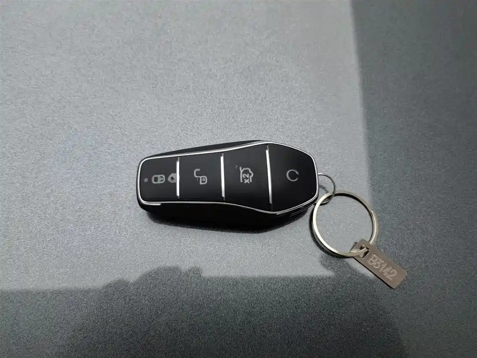 BYD Tang L