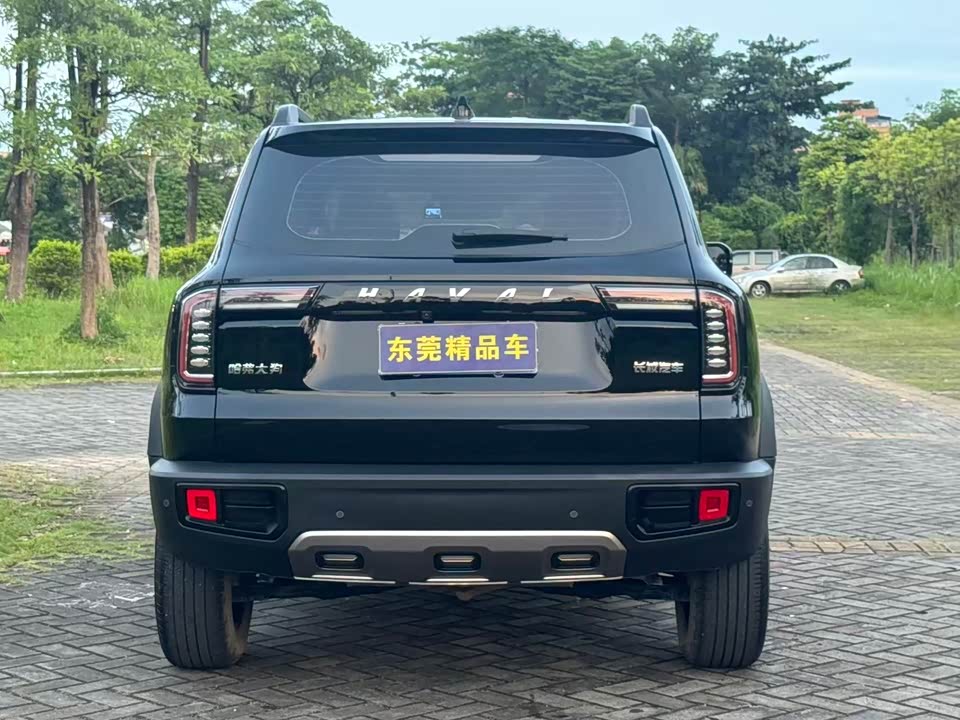 Haval Big dog