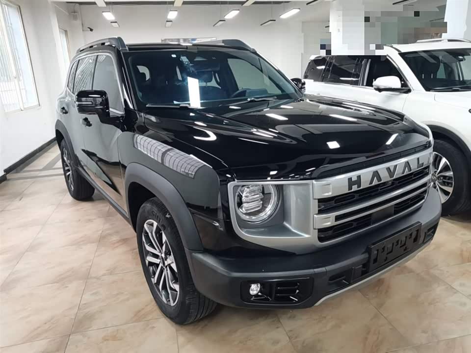Haval Big dog