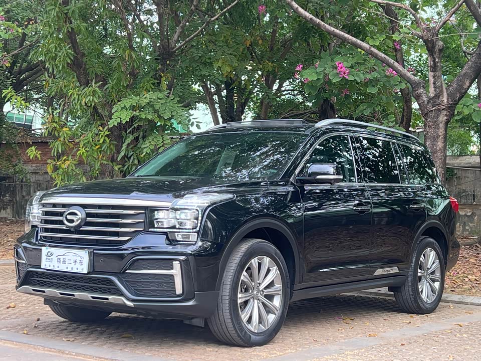 Trumpchi Trumpchi GS8