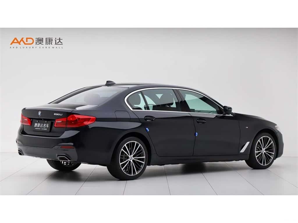BMW 5 Series, 2020 3