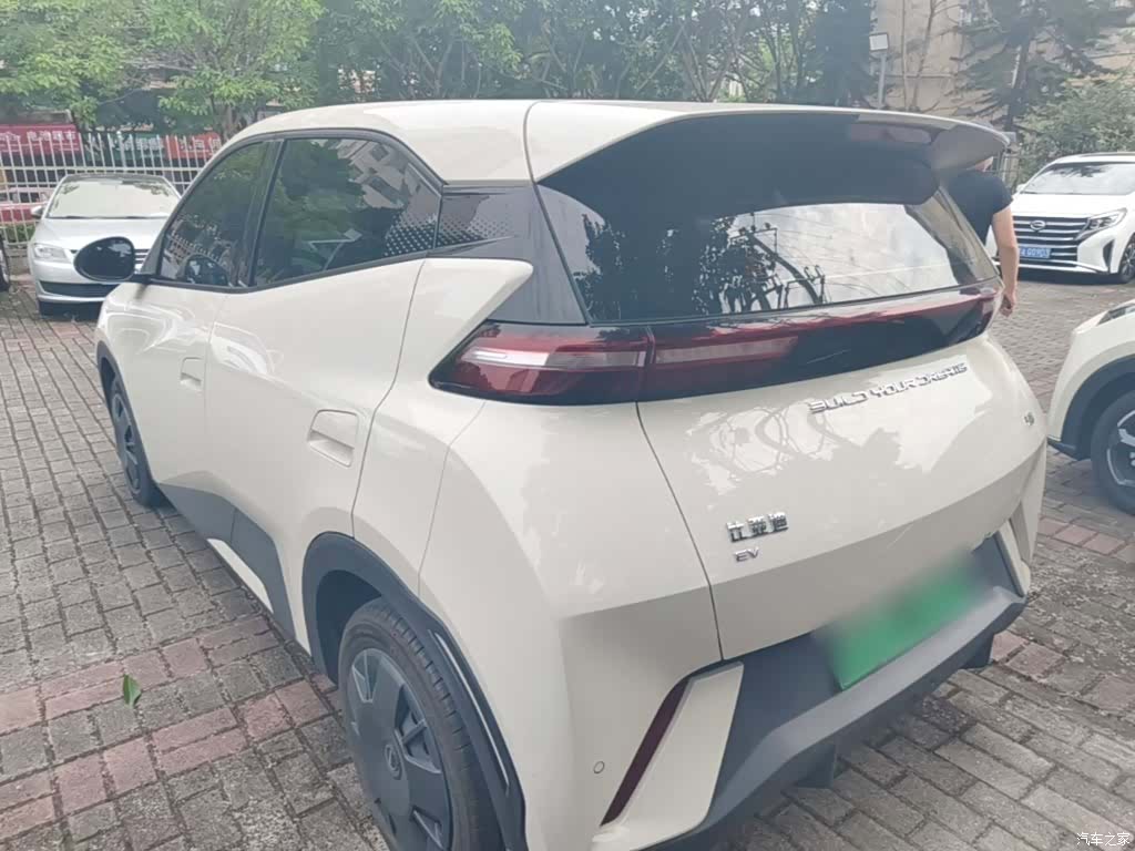 BYD Seagull, 2024 все фото