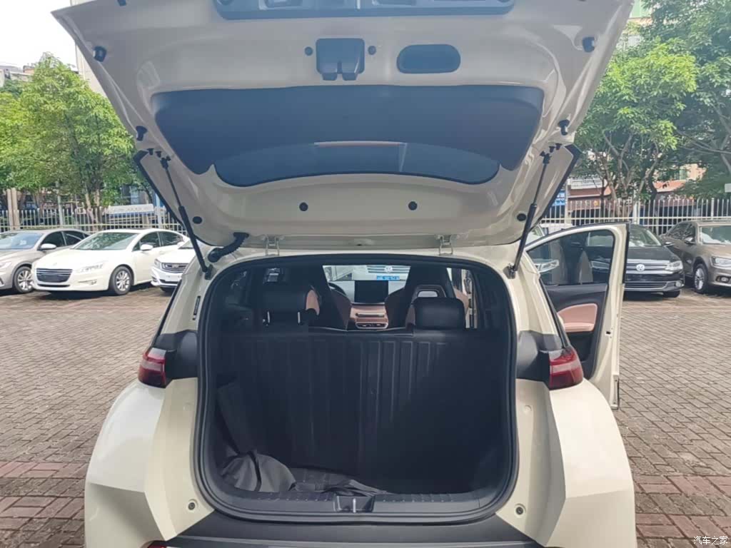 BYD Seagull, 2024 19