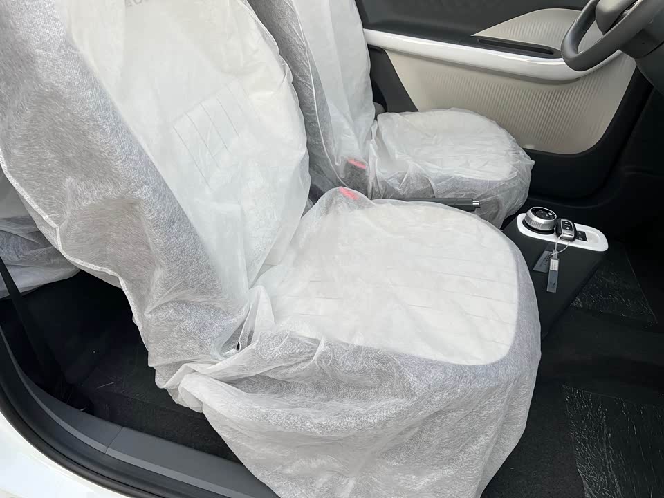 Geely Galaxy panda Geely Galaxy panda