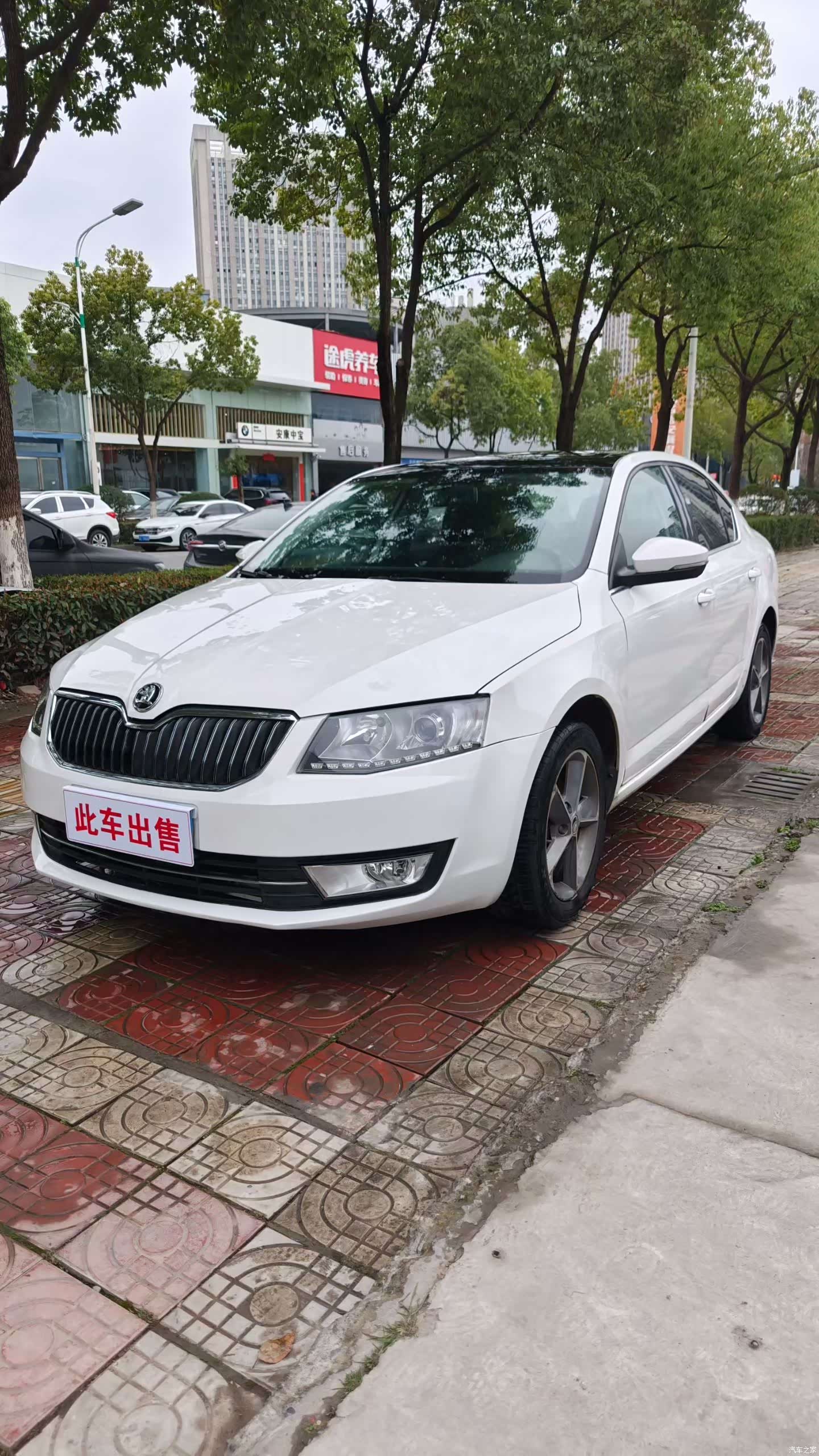 Skoda Octavia, 2016 1
