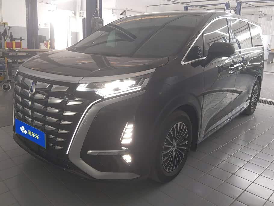 Denza D9