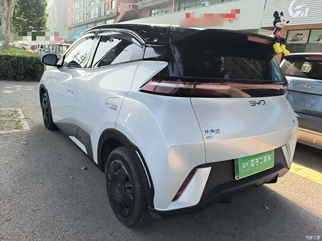 BYD Seagull, 2024 все фото