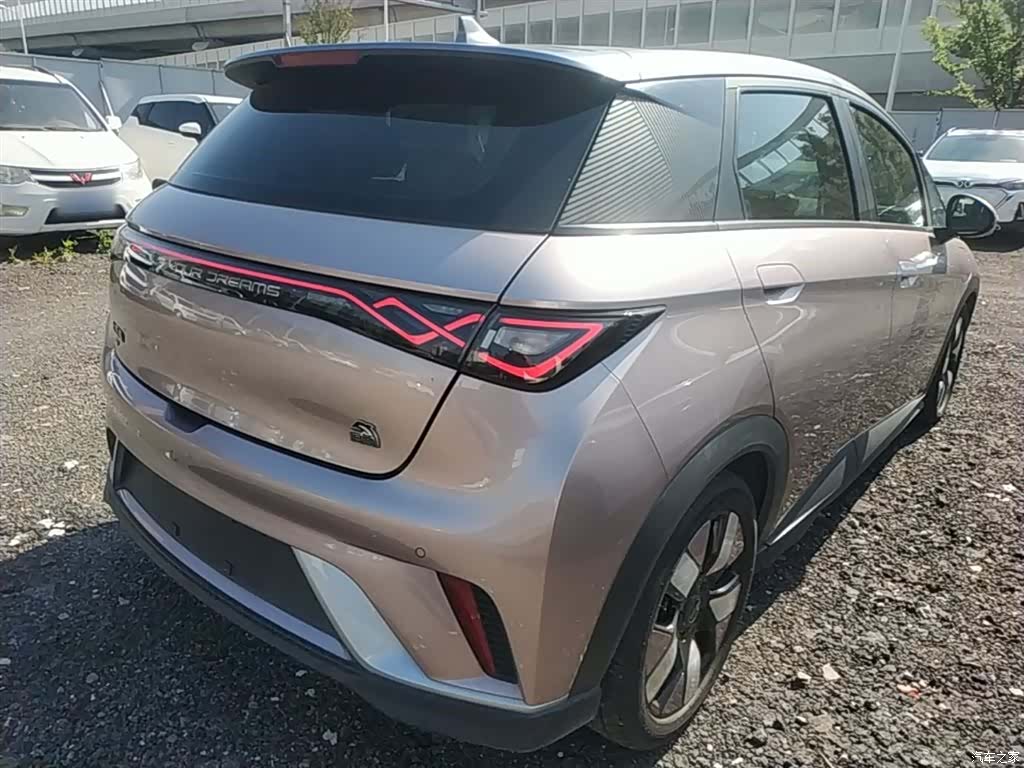 BYD Dolphin, 2022 7