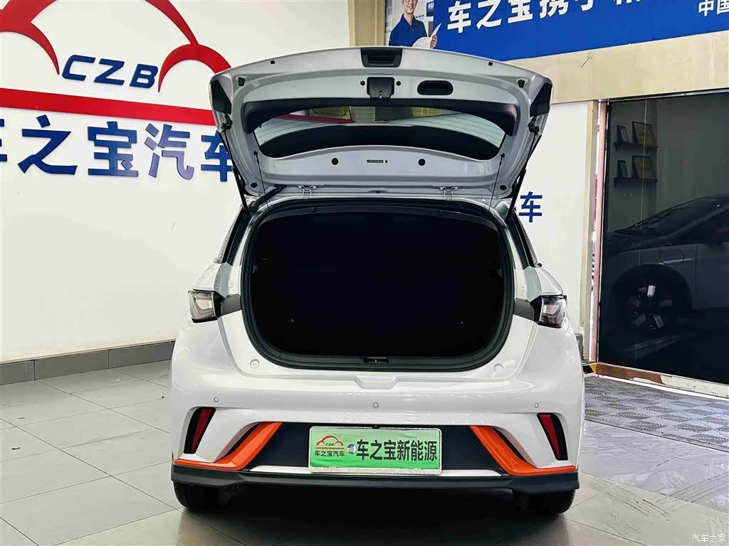 BYD Dolphin, 2023 9