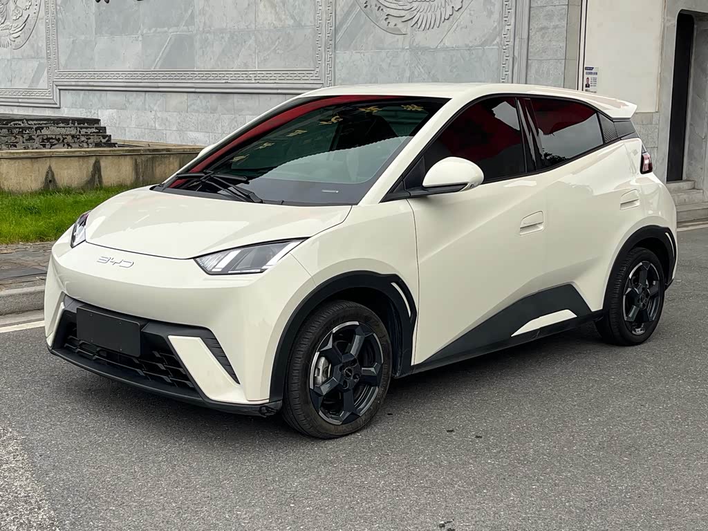 BYD Seagull