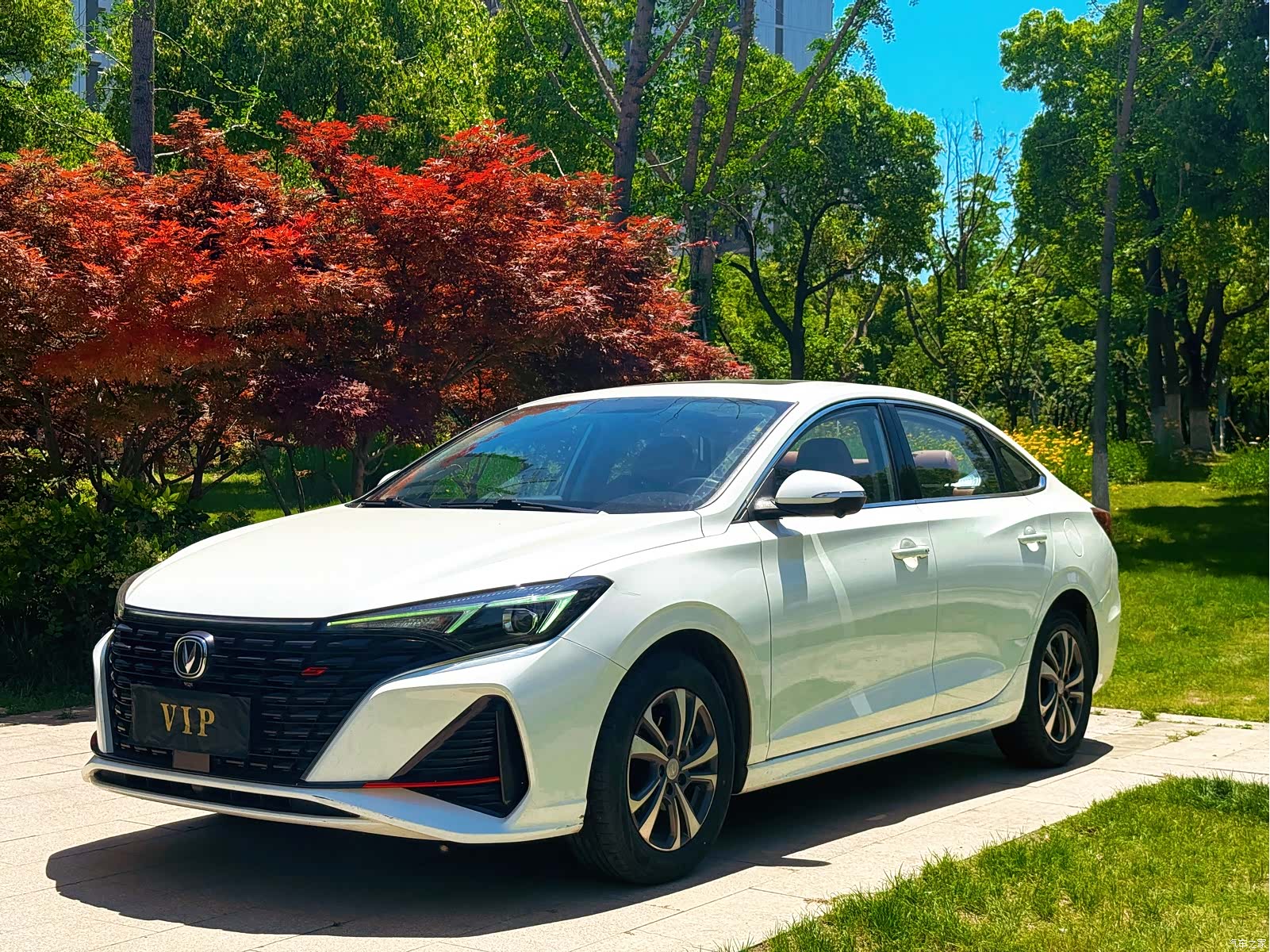 Changan Eado, 2023 1