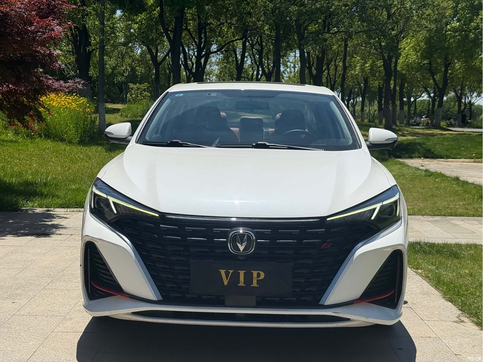 Changan Eado, 2023 2