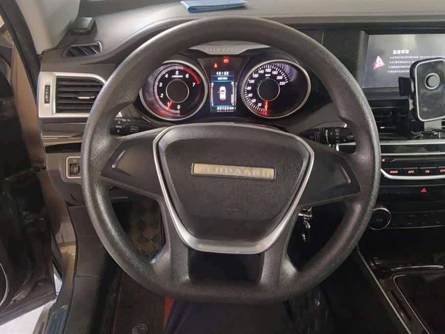 Leopaard Cheetah CS10