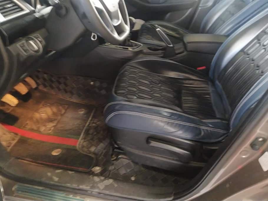 Leopaard Cheetah CS10