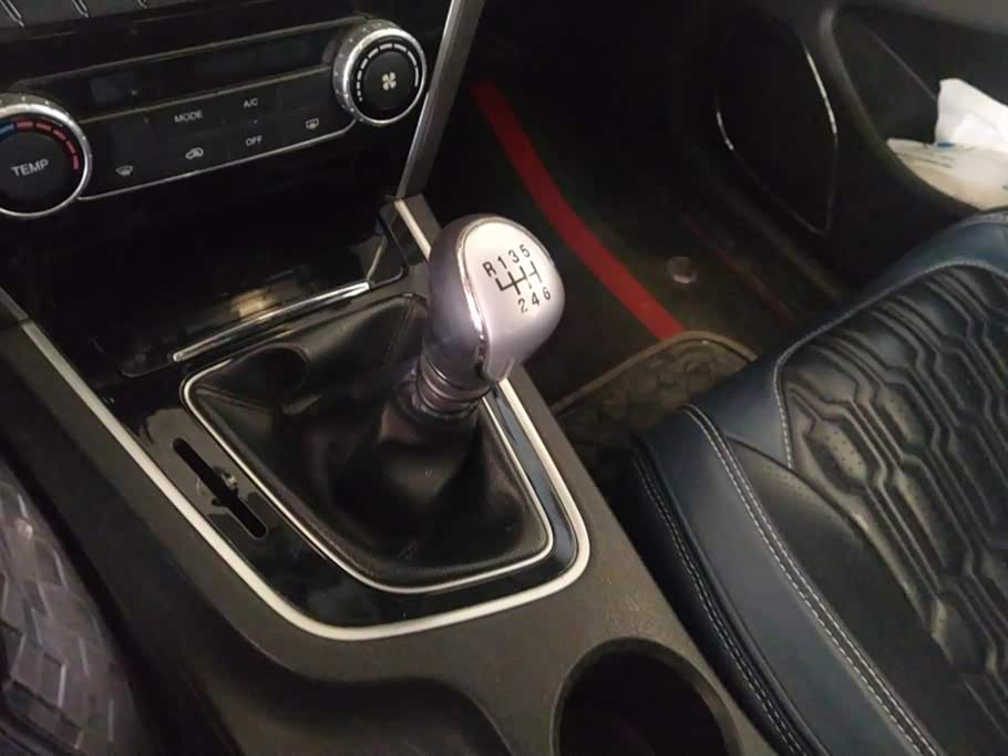 Leopaard Cheetah CS10