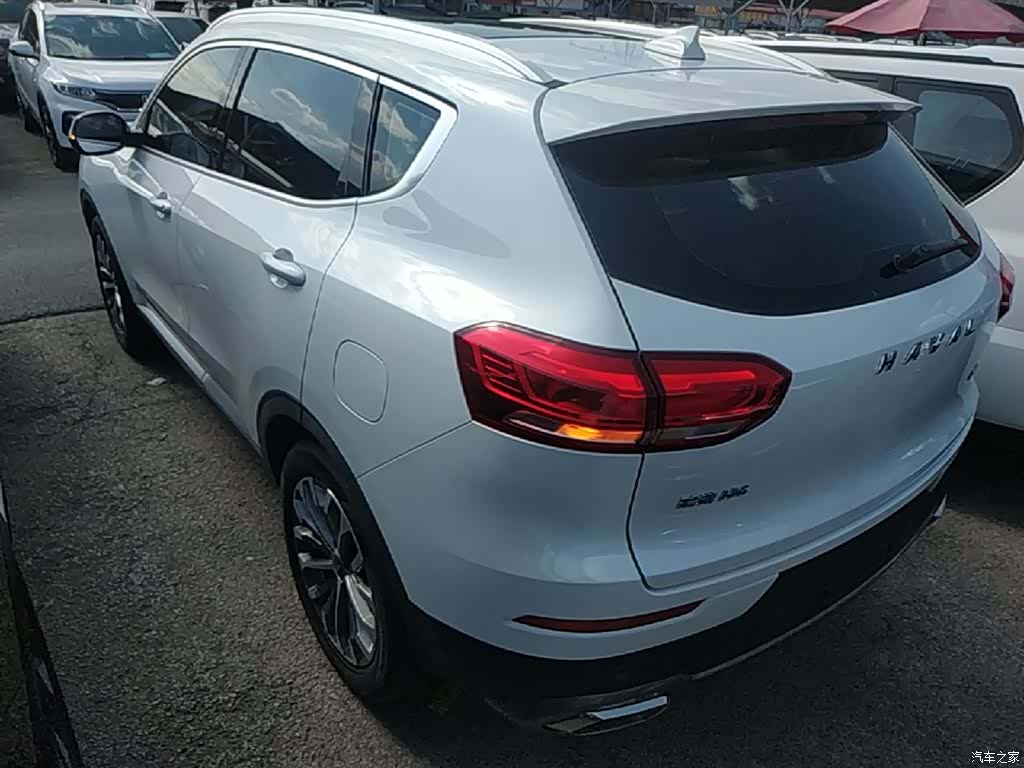 Haval H6, 2020 все фото