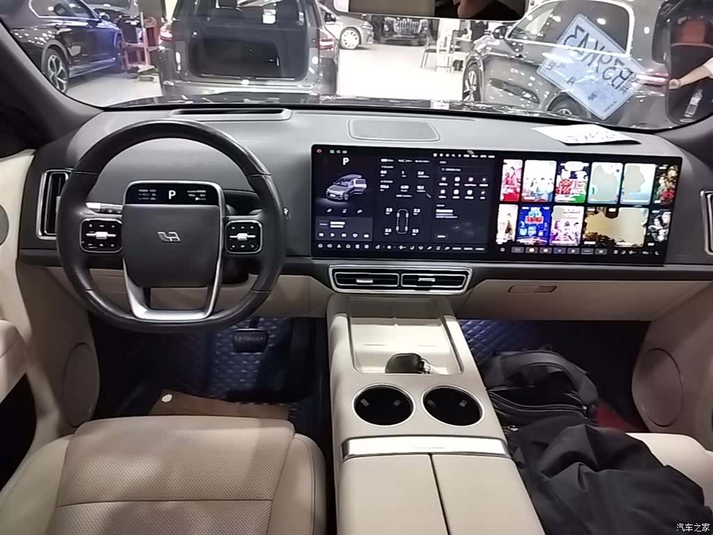 Li Auto L9, 2023 10