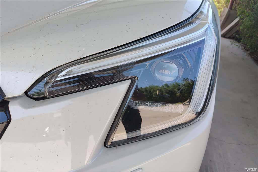 Subaru Forester, 2024 все фото