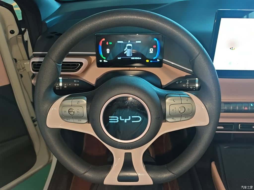 BYD Seagull, 2024 11