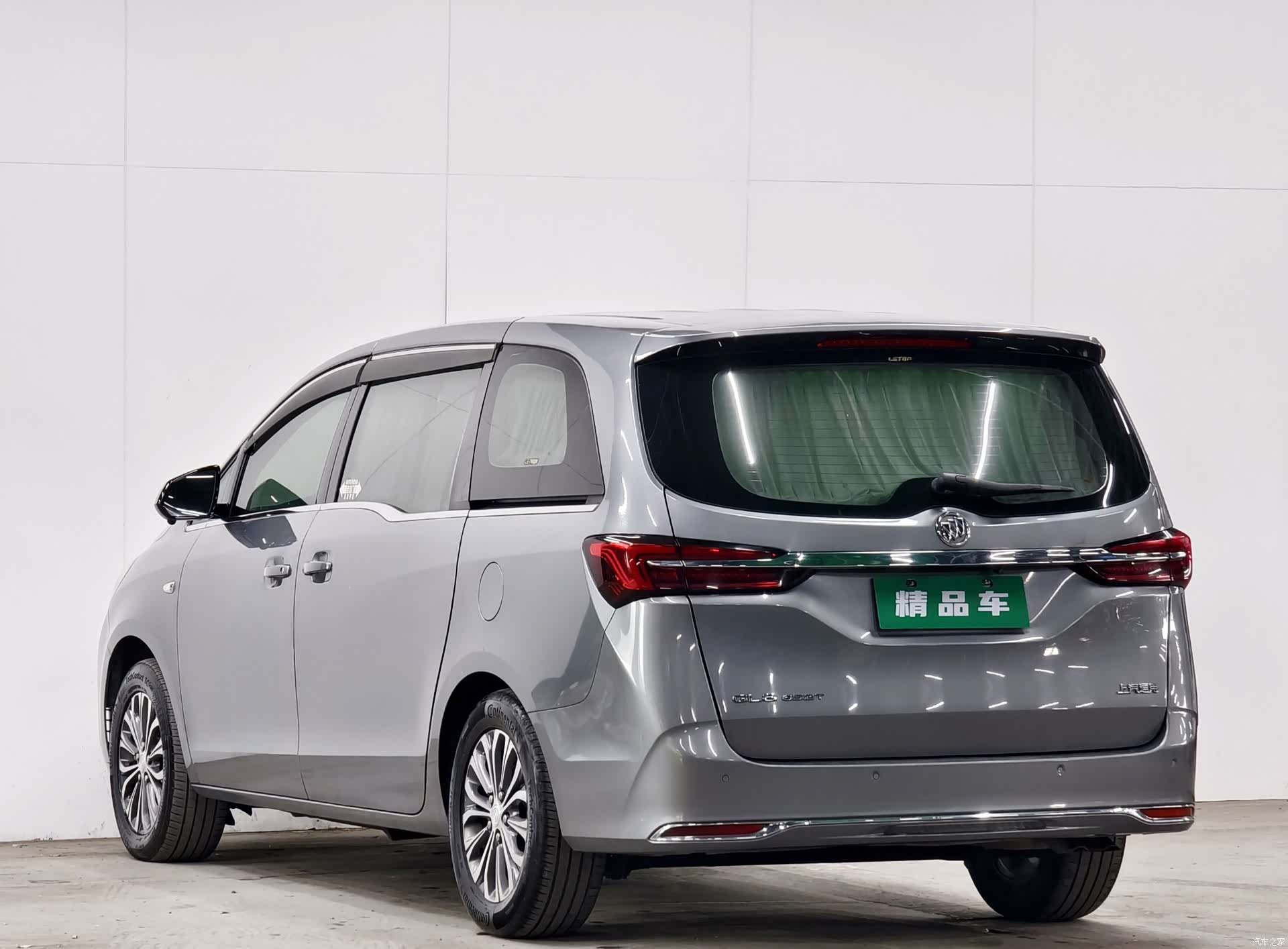 Buick GL8, 2020 все фото