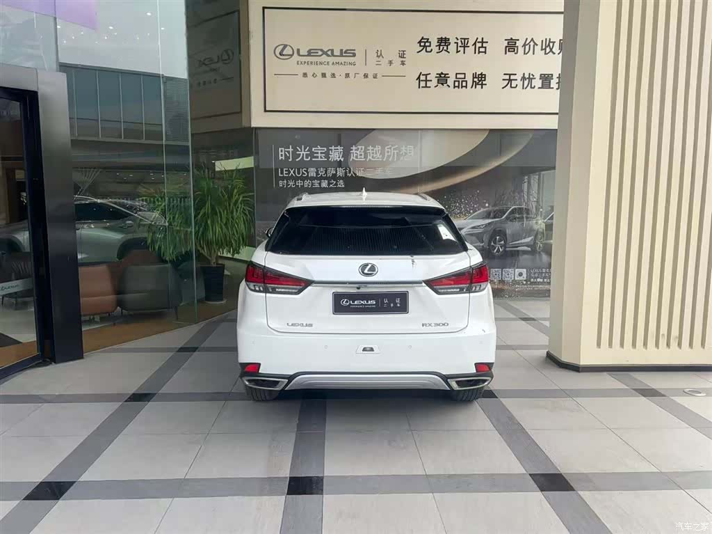 Lexus RX, 2021 6