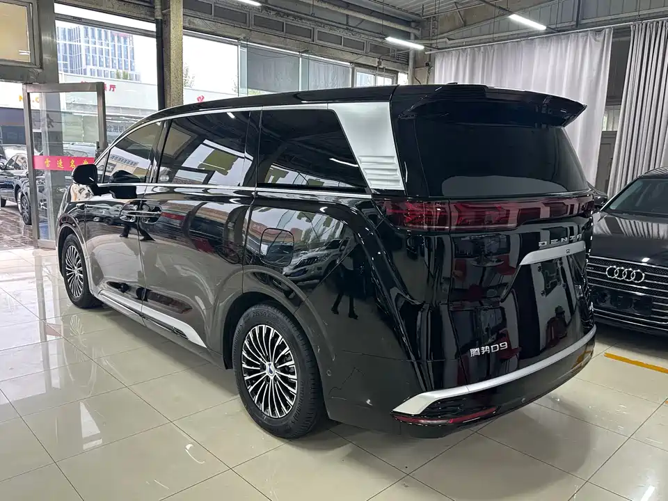 Denza D9