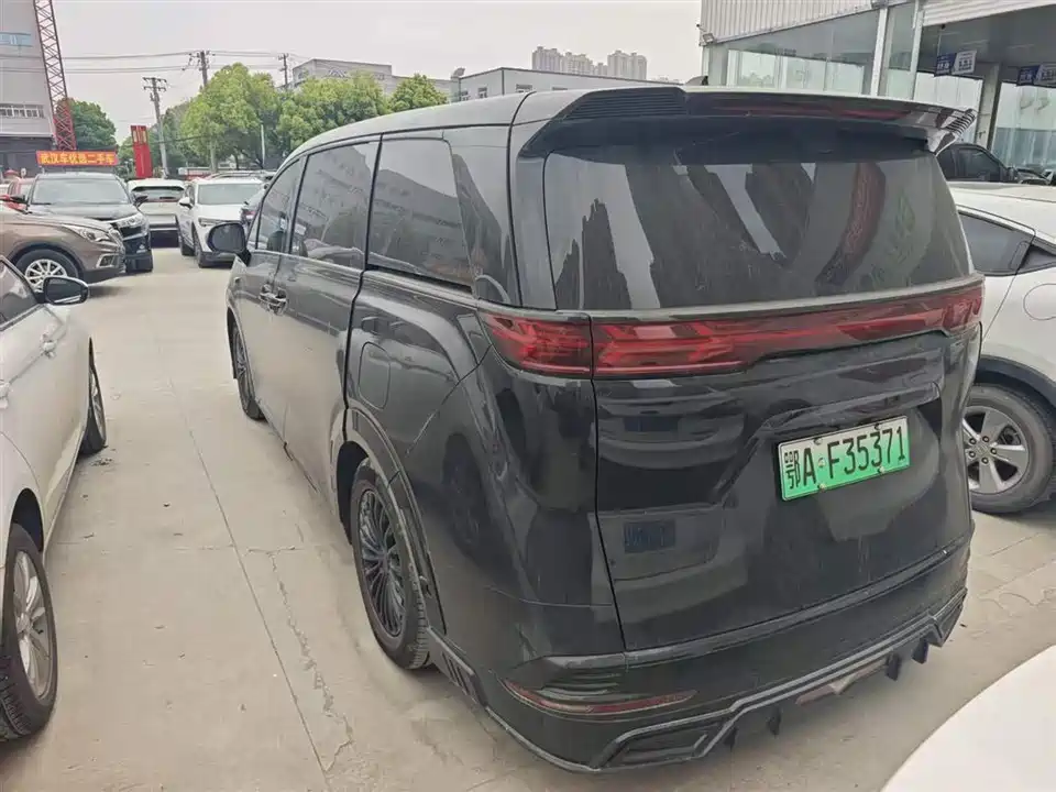 Denza D9