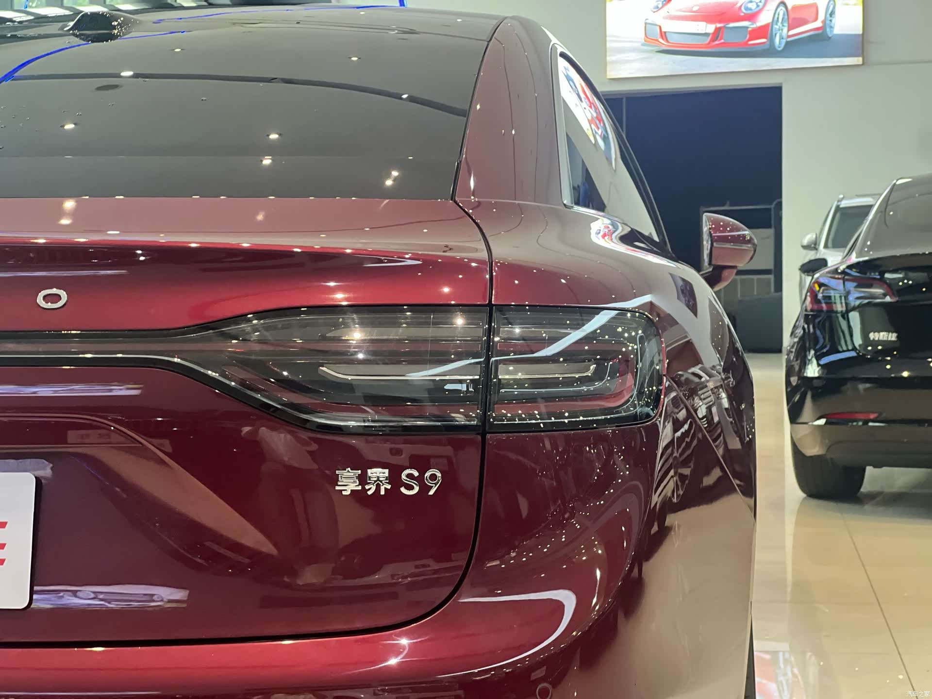 Stelato S9, 2024 18