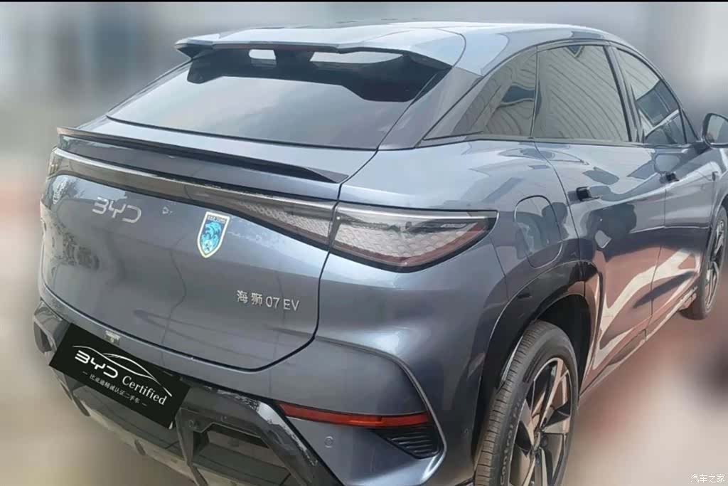 BYD HiAce, 2024 2